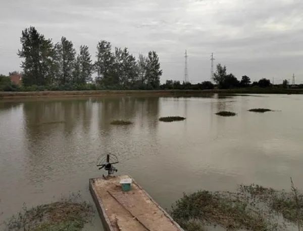 image001 图片