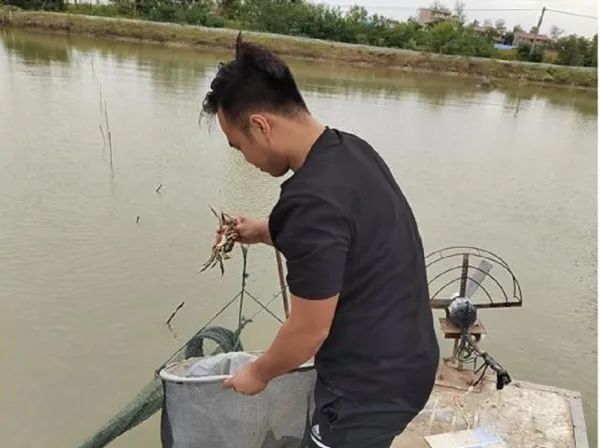 image005 图片